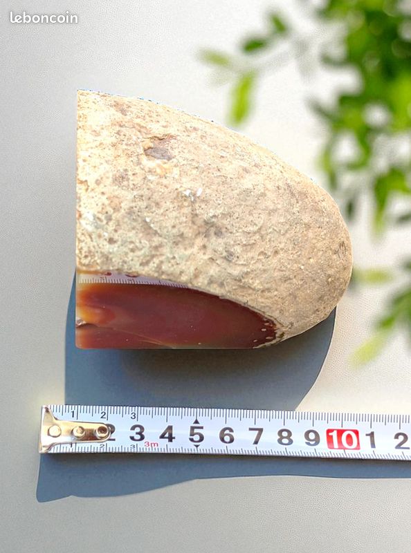 790g, pierre Agate brute polie - Géode de pierre naturelle (image 8)