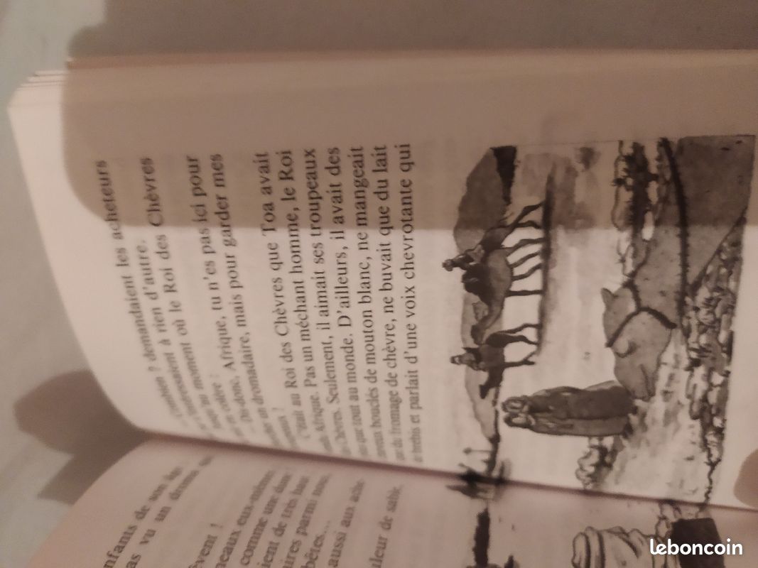 L oeil du loup de Daniel Pennac (image 7)