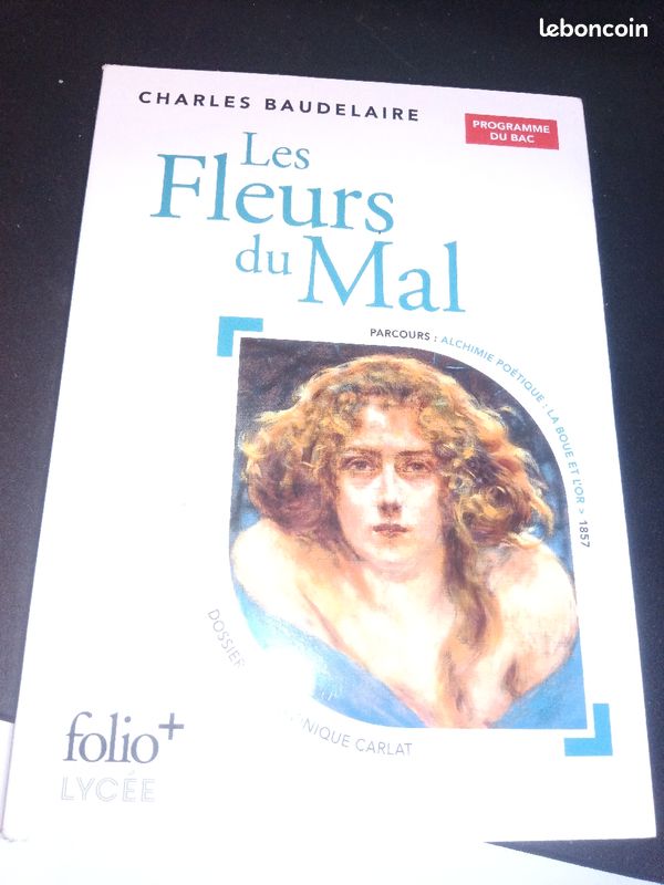 Les fleurs du Mal foliot lycée (image 1)