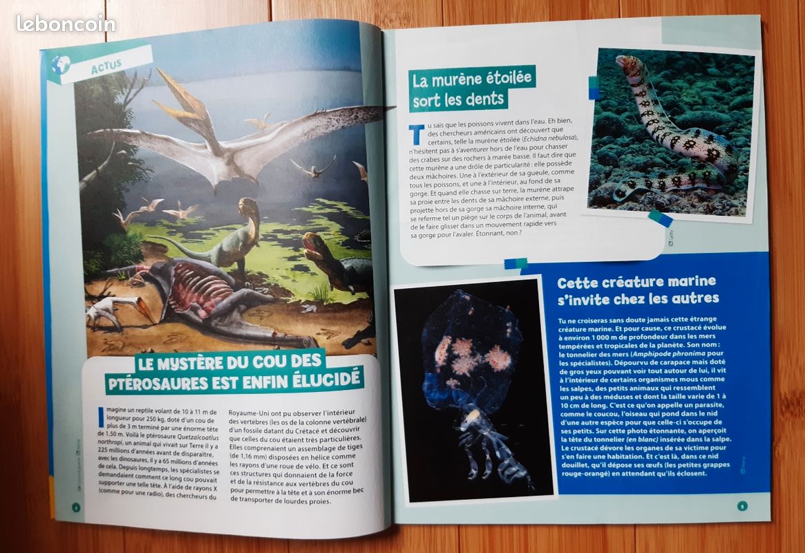 Magazines《tout comprendre junior》 (image 4)
