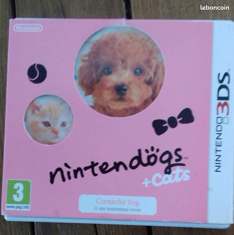 Jeu DS (image 1)