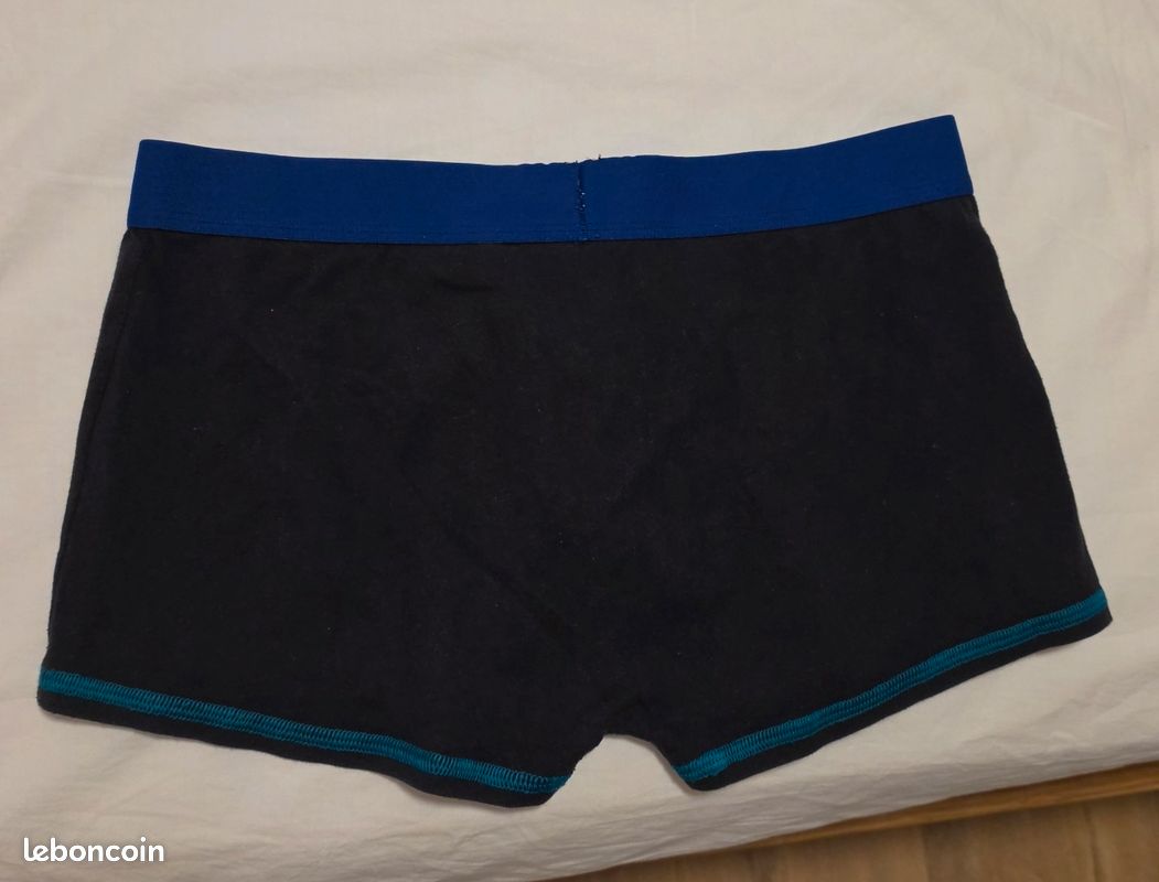 Boxer dim (image 2)
