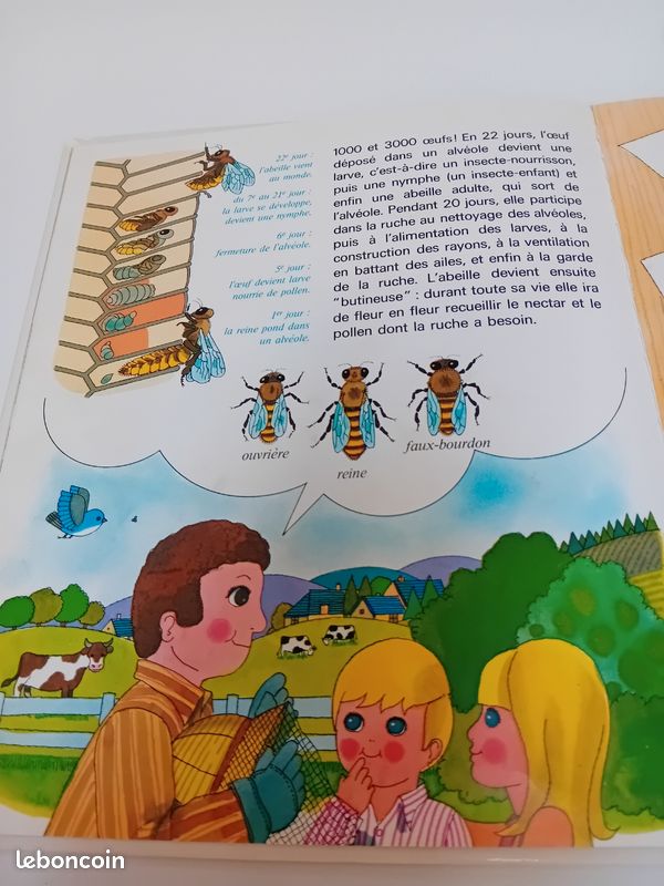 Petit Tom et son amie l’abeille – Casterman 1971 – vintage Alain Grée (image 11)