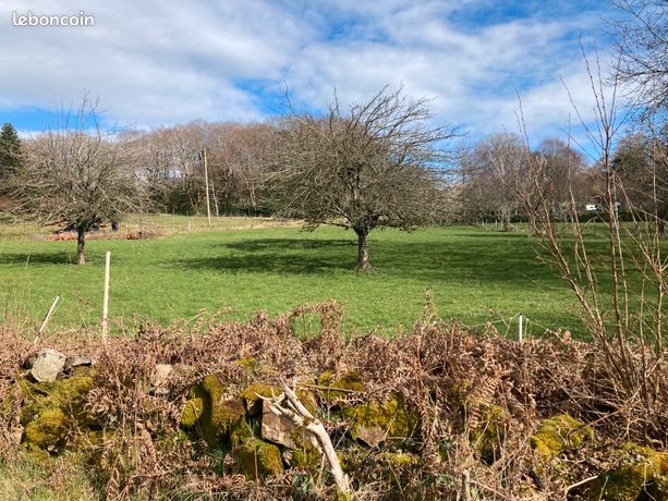 Terrain constructible 3238m2 32000