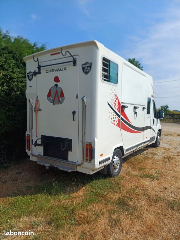 Camion chevaux (image 2)