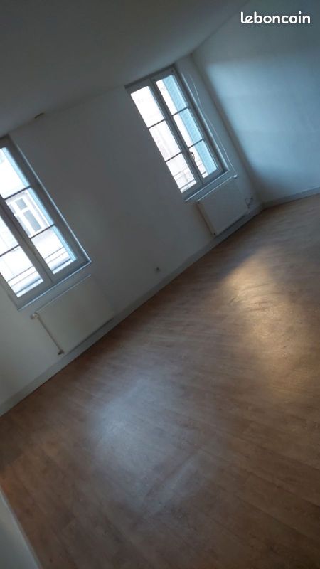 Appartement T3 rue François Perrin limoges - Limoges 87000 Centre-Hôtel de Ville Emailleurs (image principale 0)