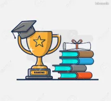 Cours particuliers, soutien scolaire et méthodologie - progresser efficacement - brevet des collèges, baccalauréat (image 1)