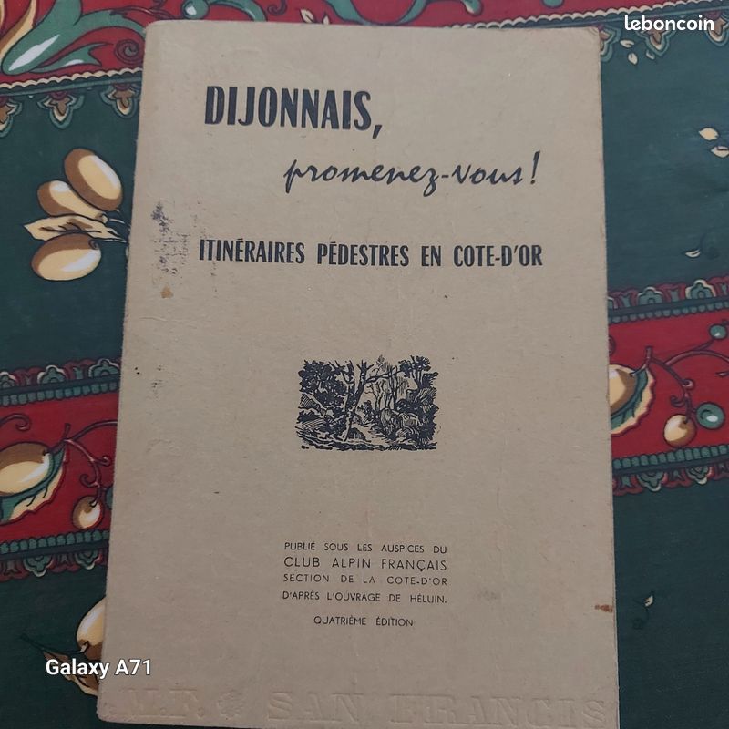 Livre 📖 Itinéraires Pédestres en Côte d'Or 1971 (image 1)