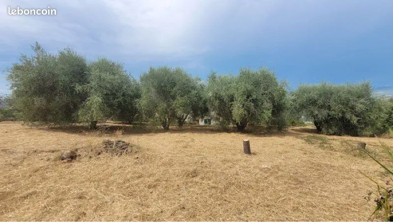 Terrain, agricole · à Puget-sur-Argens · 45 000 €