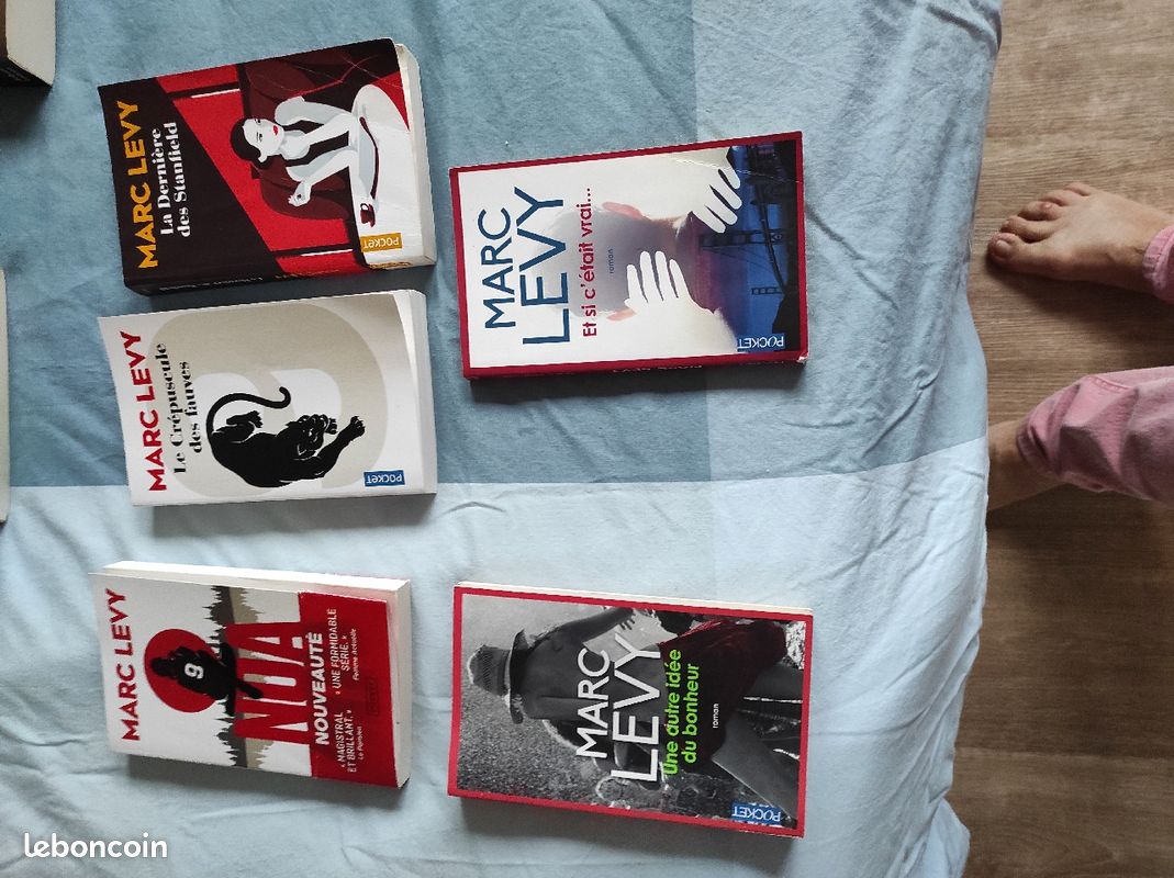 Livres Marc Lévy (image 1)