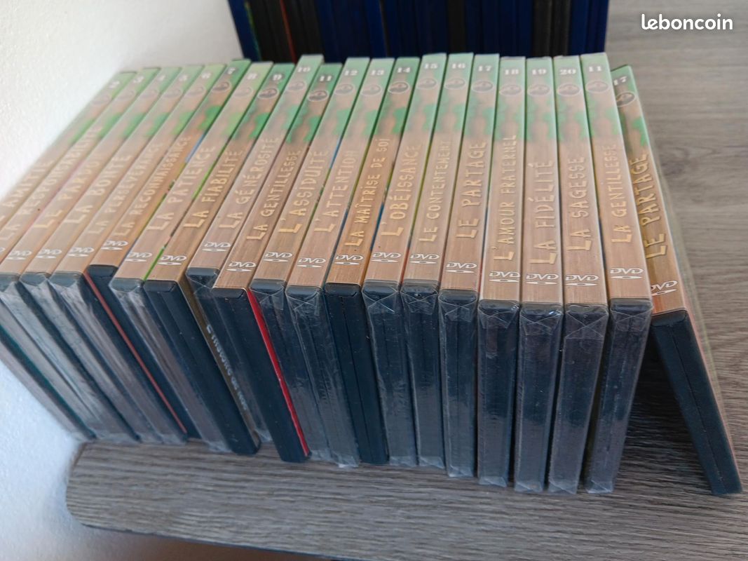 19 dvd collection le monde de kingsley dessins animes (image 3)