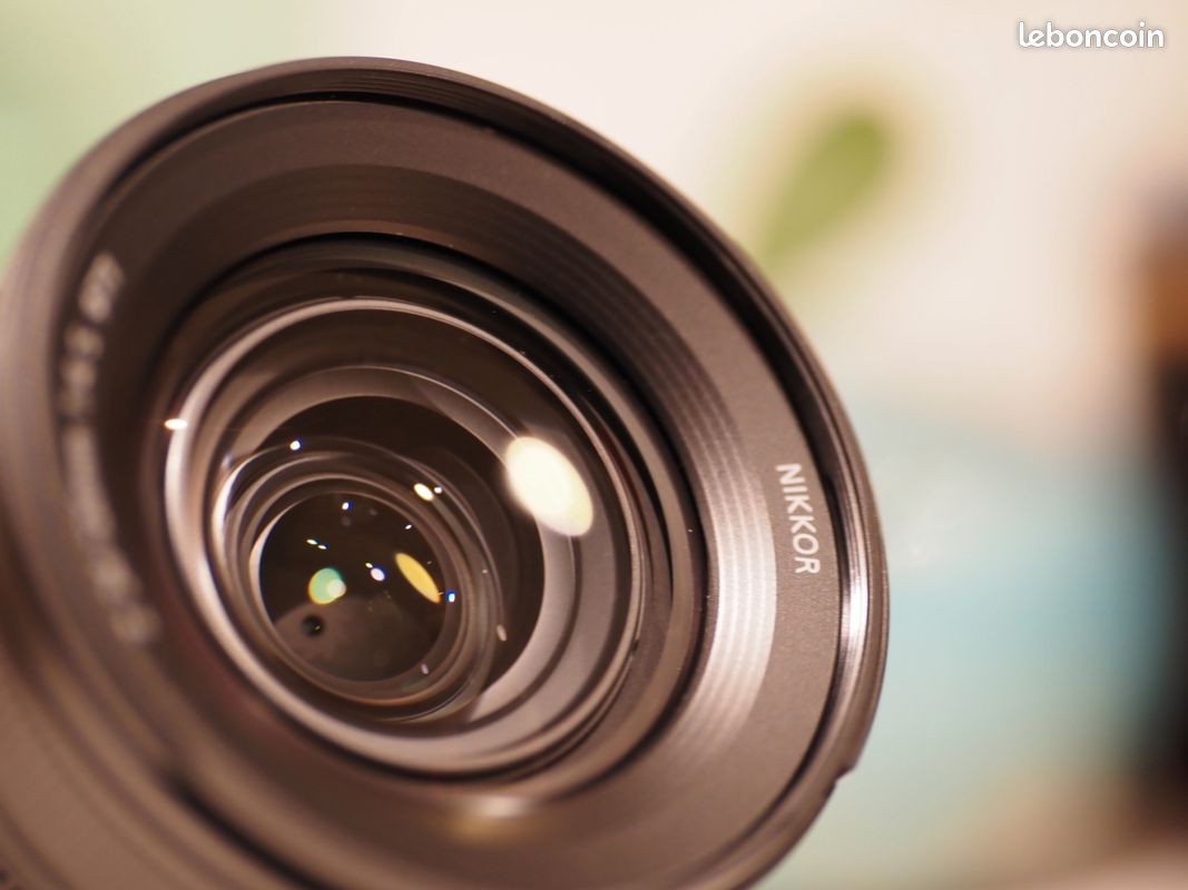 Nikon Nikkor Z 24-120mm F4 S (image 6)