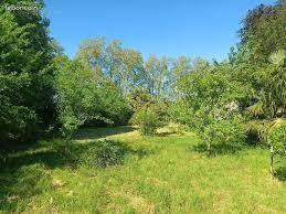 Recherche terrain a herisson 03190