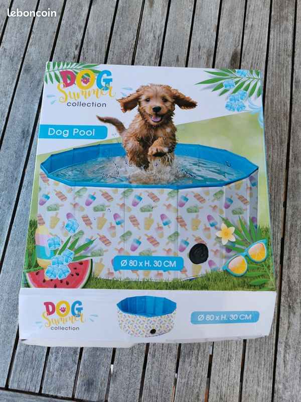 Piscine chien (image 1)