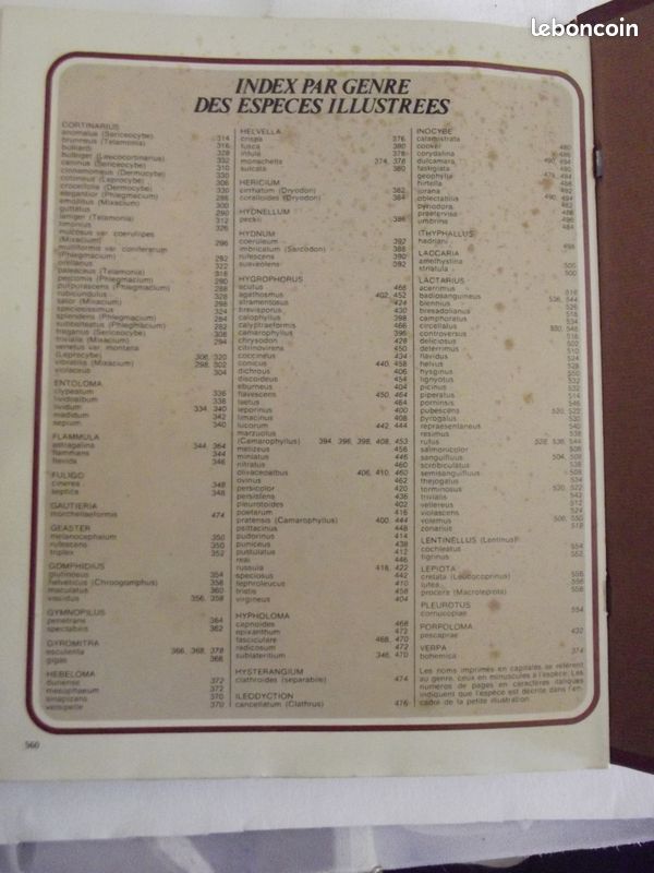 Livre les champignons de AàZ 3 Vol (image 9)