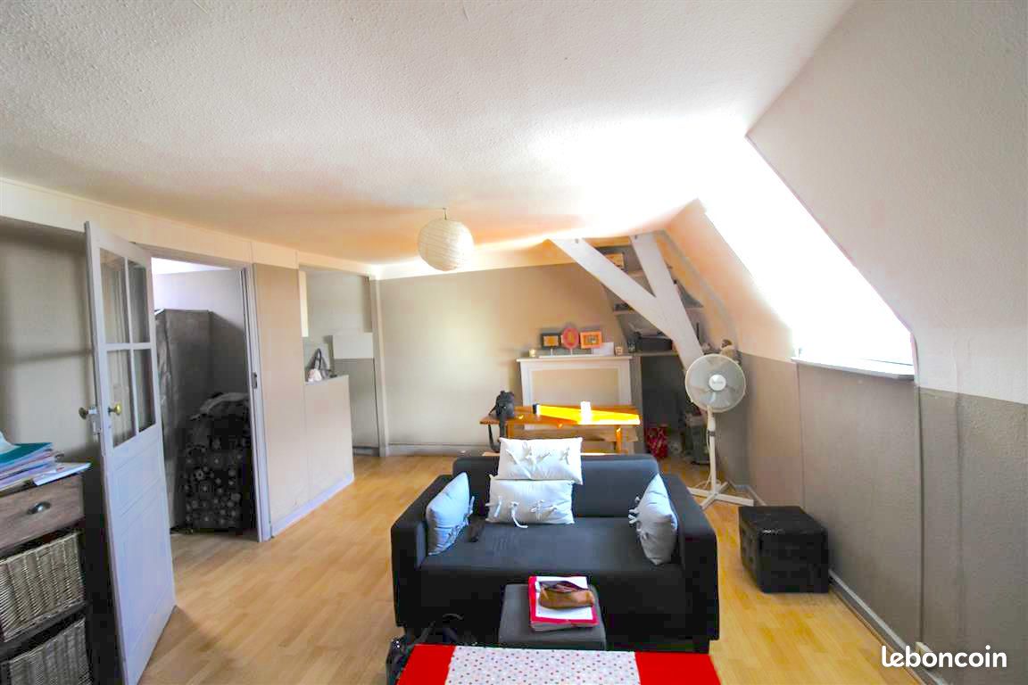 T2 hyper centre - Limoges 87000 Centre-Hôtel de Ville Emailleurs (image principale 0)