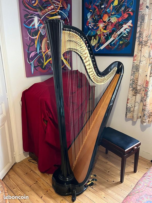 Harpe de concert Salvi Aurora 47 cordes (image 1)