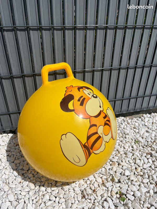 Ballon sauteur Enfant (image 1)