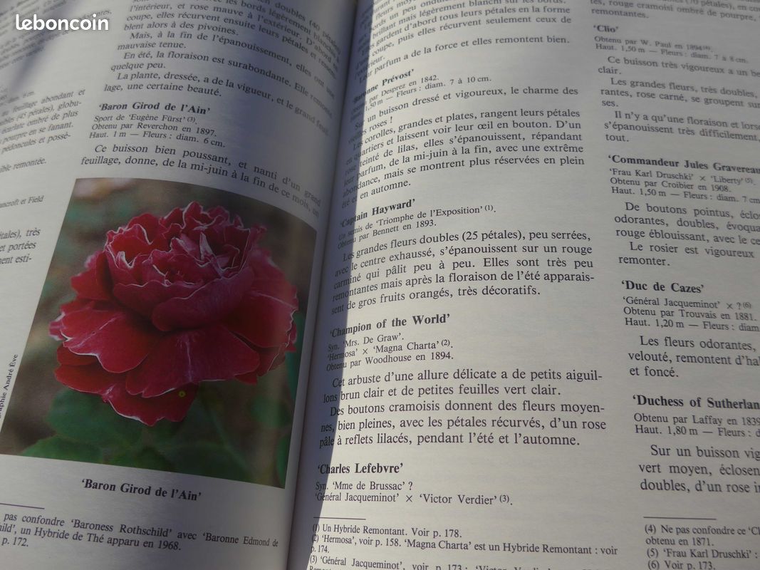 ROSES ANCIENNES et ROSES SAUVAGES DU MONDE par Charlotte Testu : le livre de référence (image 8)