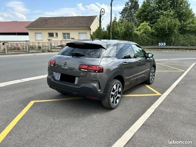 Citroen C4 CACTUS PURETECH 110CH S&S SHINE BUSINESS E6.D (image 12)