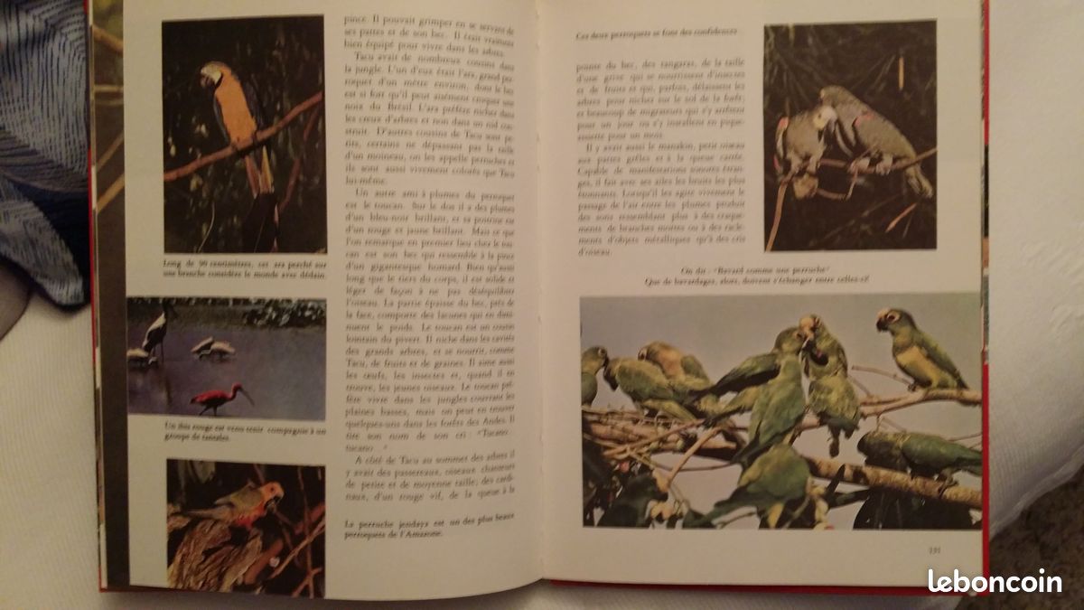 Livre " LES MERVEILLES DE LA JUNGLE " Walt Disney (image 4)