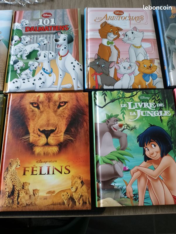 Lot de 10 livres Disney (image 3)