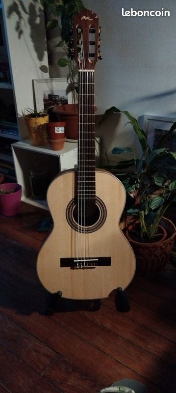 Guitare classique Manuel Rodriguez (image 1)