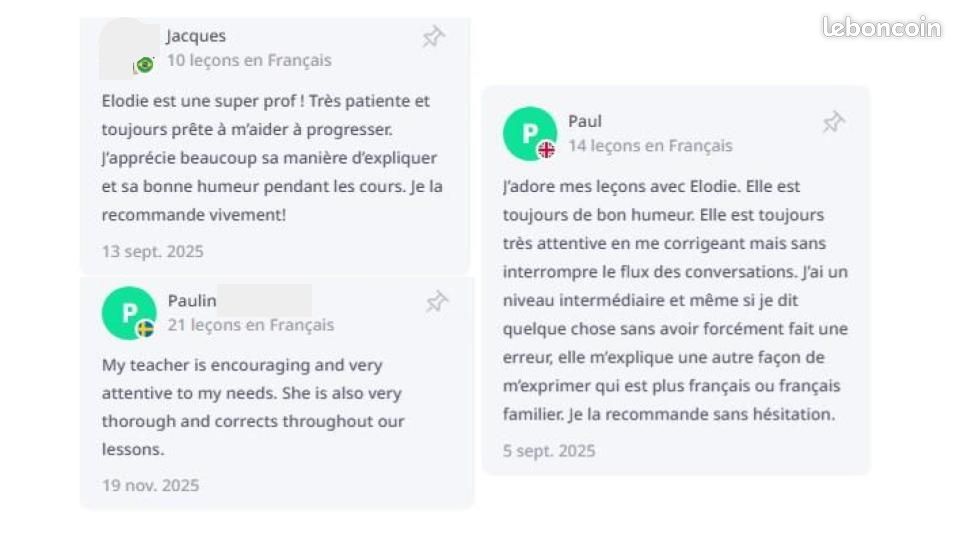 Cours particuliers français FLE, réussite DELF DALF TEF (image 2)