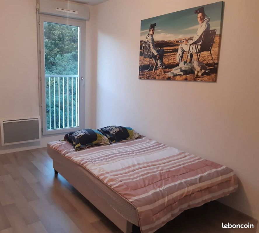 Joli appartement sur les toits de Lyon - Terrasse (image 7)