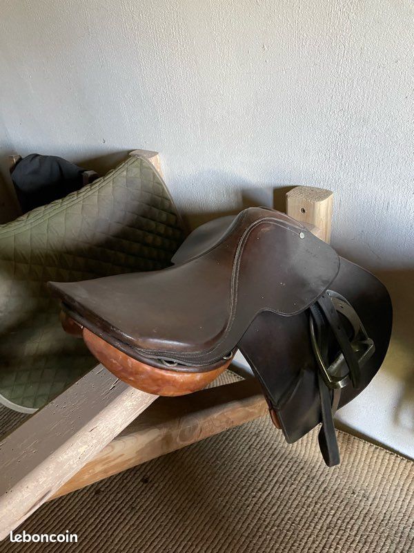 Accessoires chevaux (image 2)