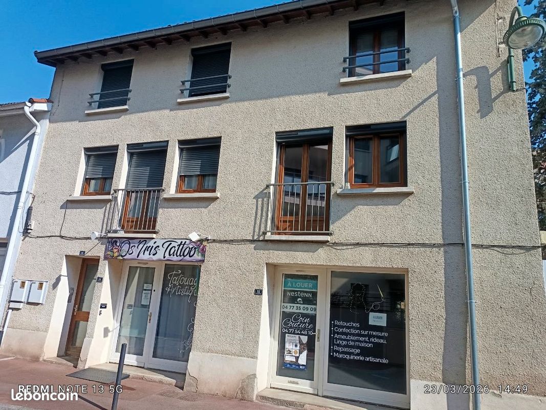 Maison 4 pièces 250 m² · à Montrond-les-Bains · 250 m² · 320 000 €