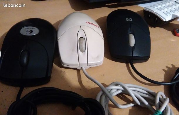 Souris (image 1)