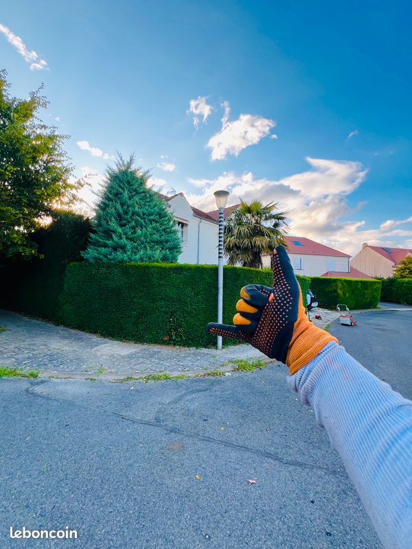 Élagage • Abattage • Taille de haies • Débroussaillage • Entretien jardin• crédit d’impôt • Cesu (image 15)