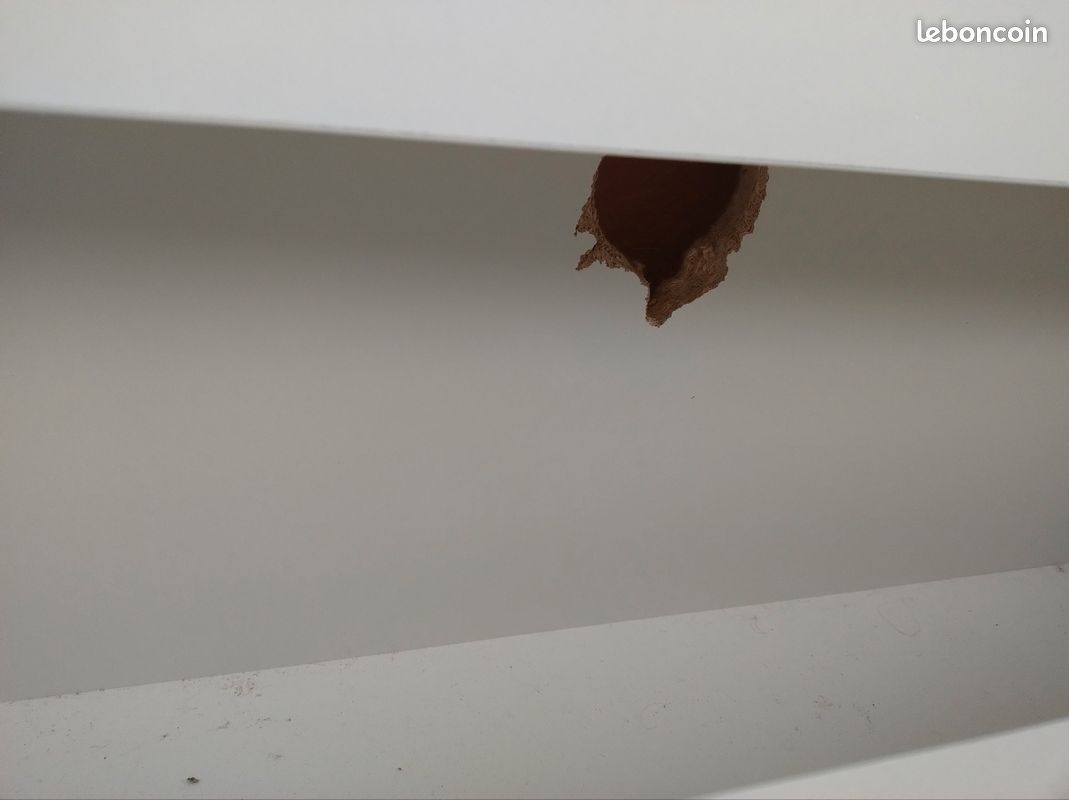 Lit escamotable (image 6)
