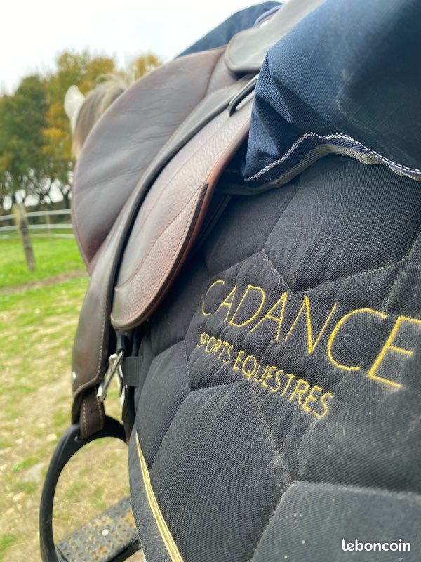 Tapis Cadance SPORT ÉQUESTRE (image 2)
