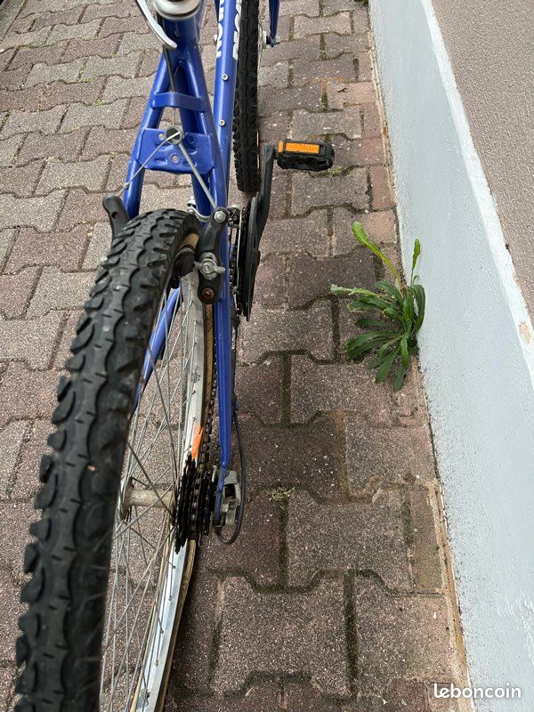 Vélos ados 12/16 (image 3)