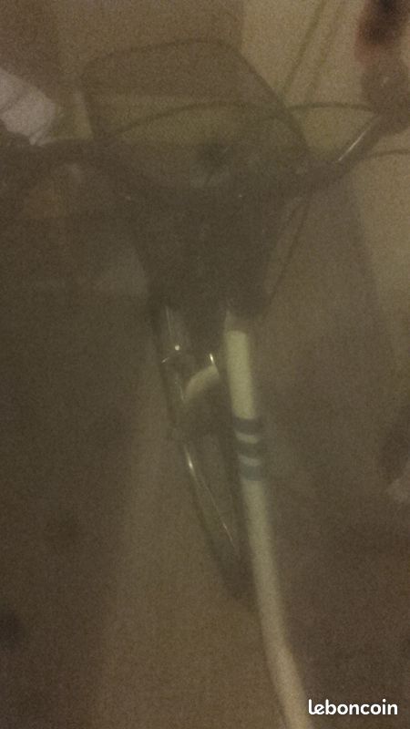 Vélo de femme (image 2)