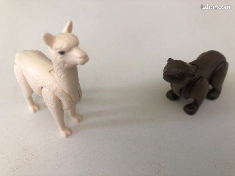 Quelle est la différence entre un cerf, un chevreuil et un daim