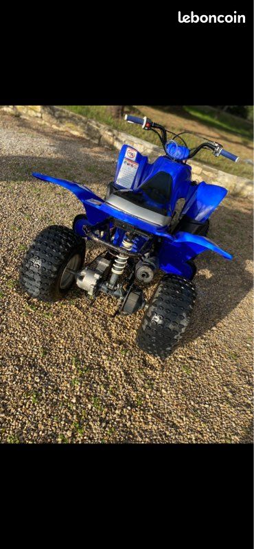 Raptor 50 - Motos