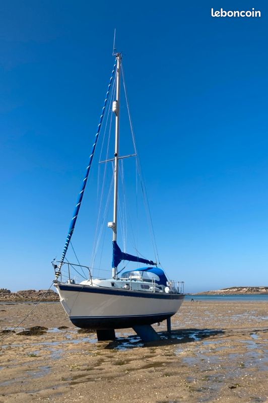 Westerly Konsort — Vedi foto 1
