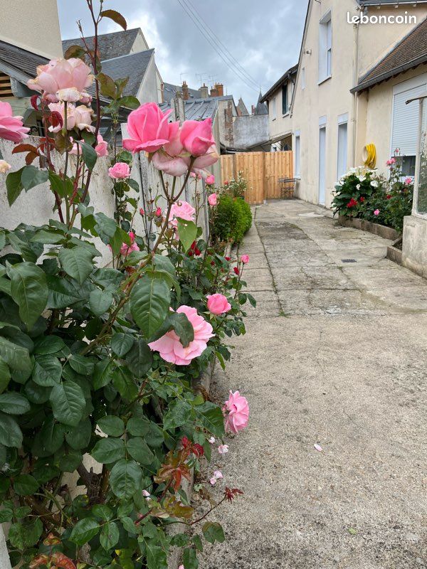 Gîte Le Studio 7 (image 11)