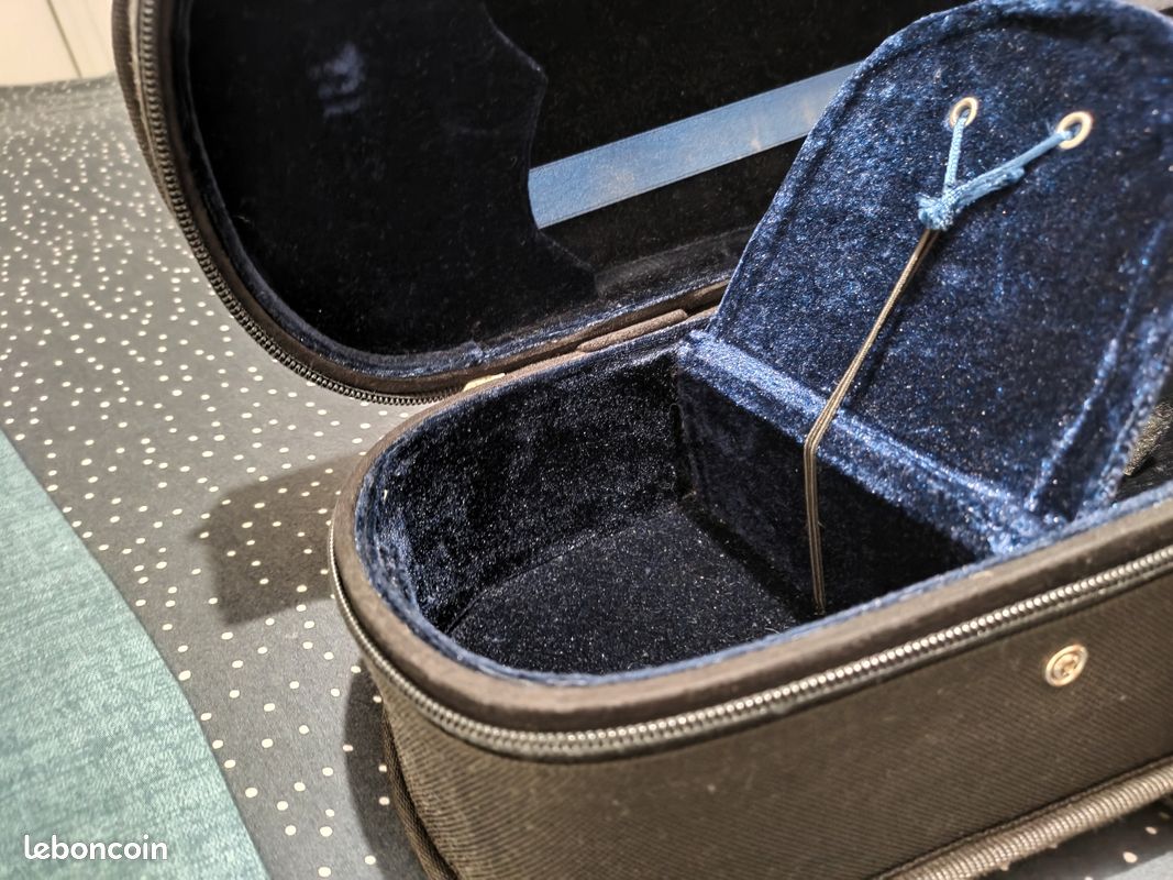 Violon Alto Finest Italien Imprimé Sac En Soie Protection D'instrument, Couverture, Cadeau Pour Les Musiciens, édition Limitée - France