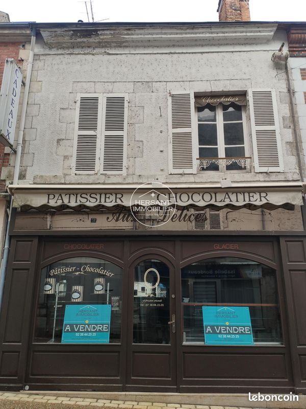 Maison 10 pièces 260 m² · à Meung-sur-Loire · 260 m² · 181 000 €