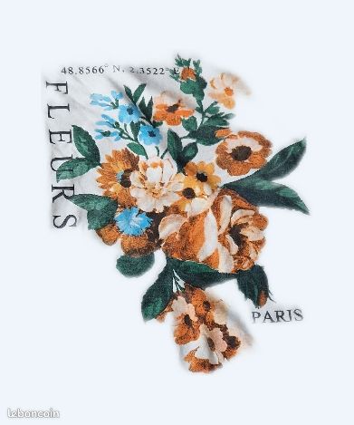 Tee-shirt grande taille (image 1)