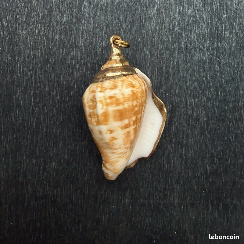 Pendentif coquillage naturel avec dorure (image 4)