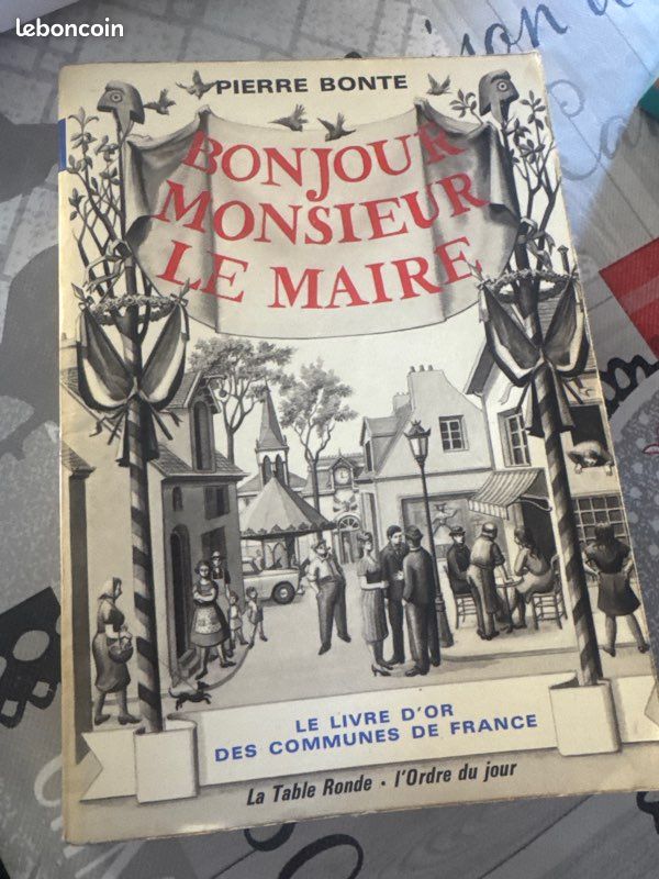 Bonjour monsieur le Maire Pierre Bonte (image 1)