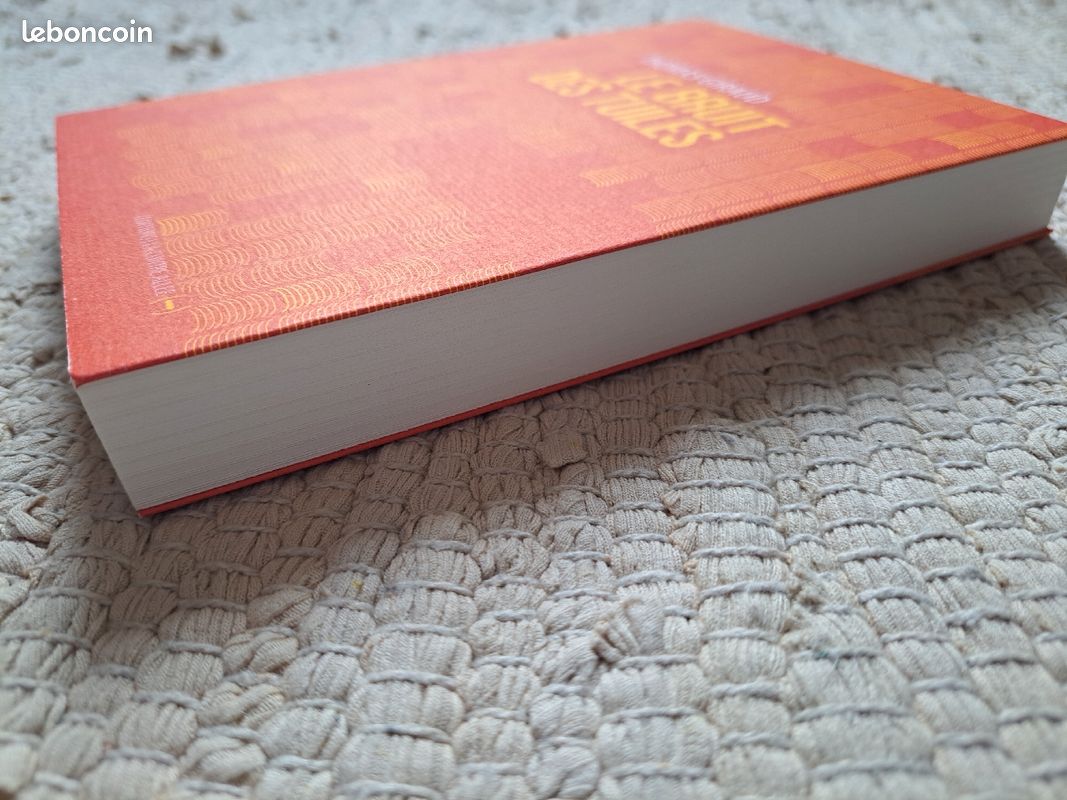 Le bruit des tuiles / Thomas Giraud (image 4)