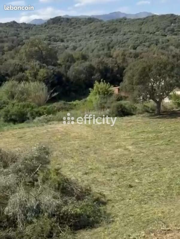 Maison 3 pièces 78 m² · à Oletta · 78 m² · 329 000 €
