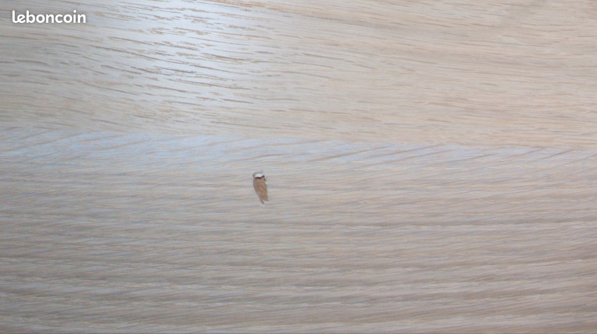 Porte coulissante dressing Ikea HASVIK effet chêne blanchi (image 5)
