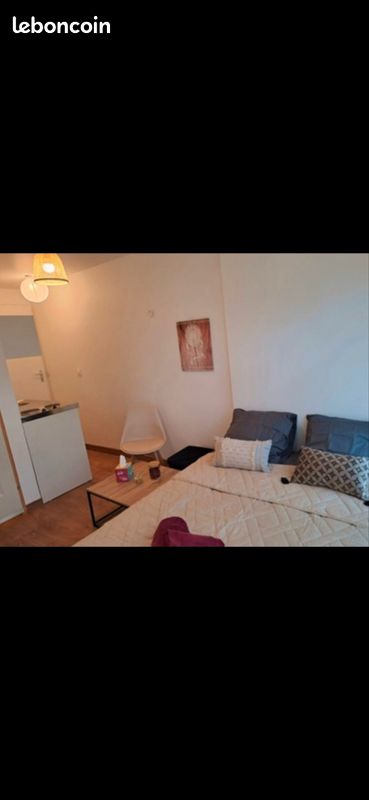 Appartement 1 pièce 15 m² · à Basse-Goulaine · 15 m² · 500 €/mois